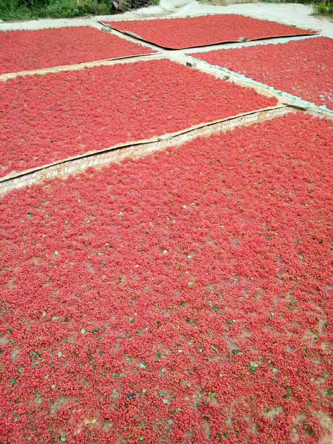 大红袍花椒